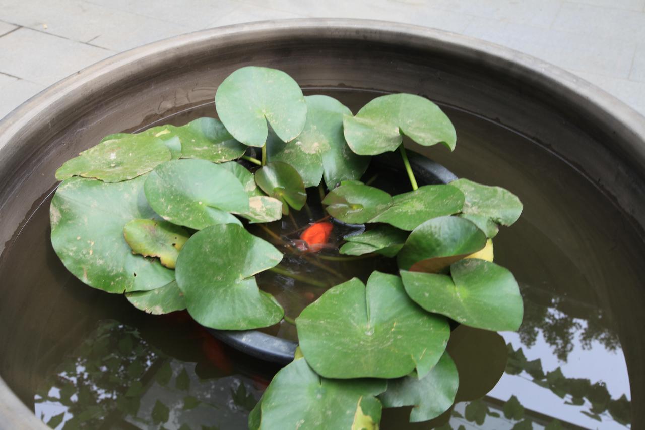 Zhantan Courtyard Hotel Beijing Eksteriør bilde