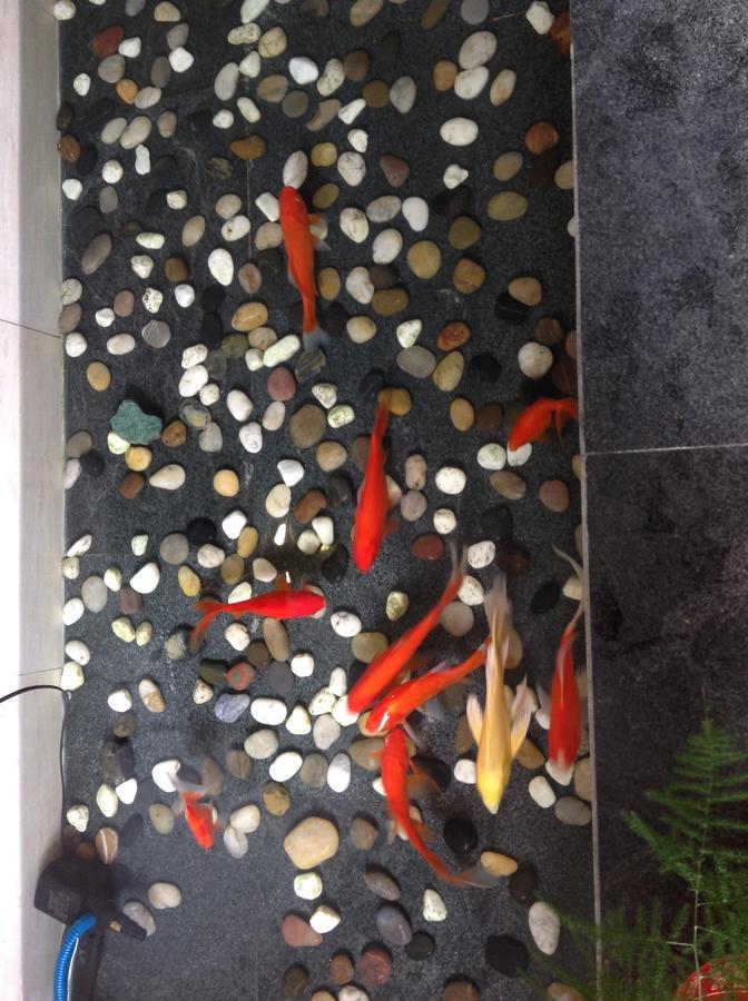 Zhantan Courtyard Hotel Beijing Eksteriør bilde